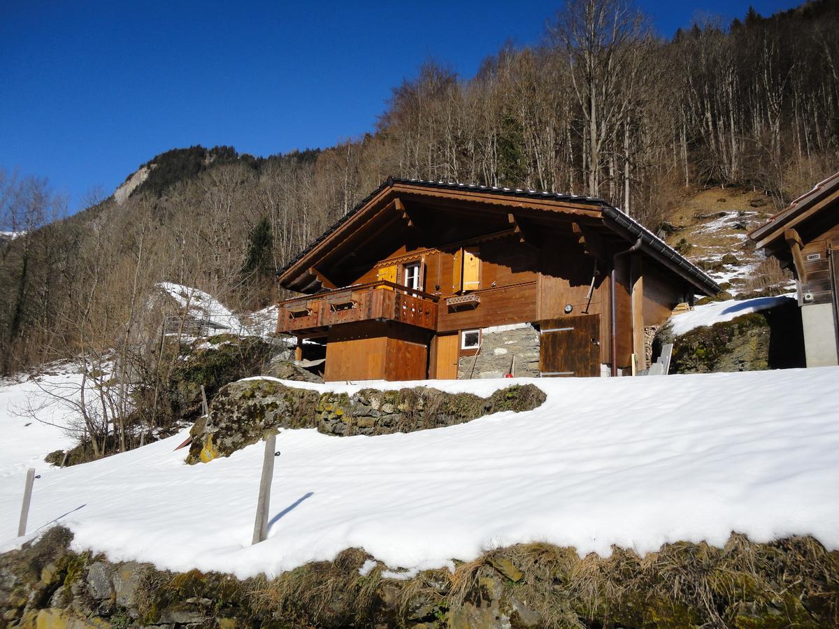 Chalet Julian Lütschenthal エクステリア 写真